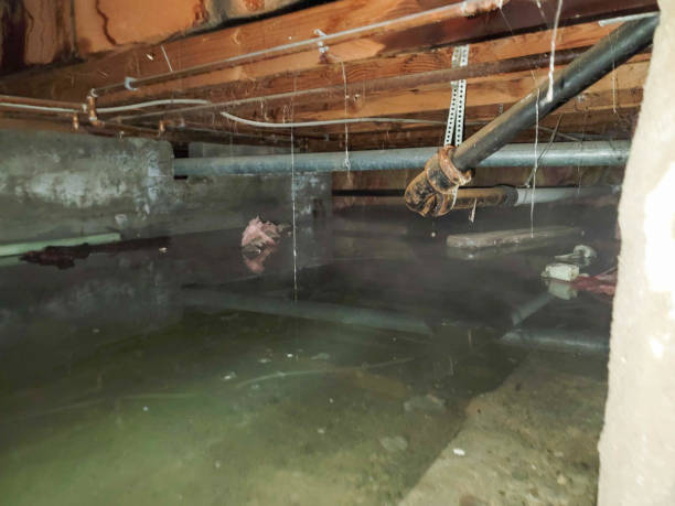 Best Residential water damage restoration  in Bethlehem, NC