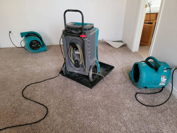 Best Water damage restoration near me  in Bethlehem, NC