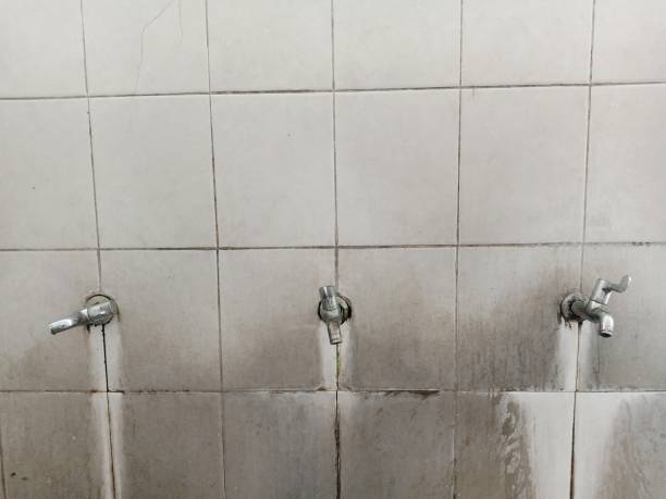 Best Basement water damage restoration  in Bethlehem, NC