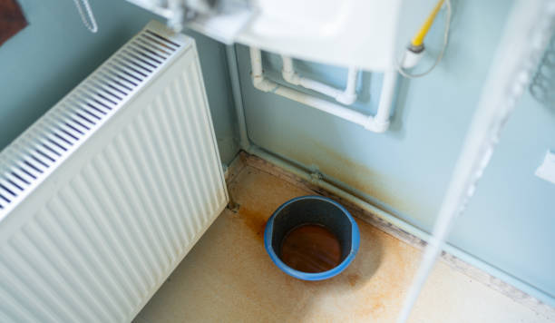 Best Water damage cleanup near me  in Bethlehem, NC