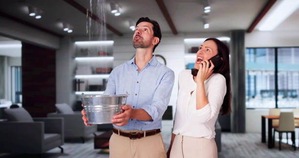 Best Mold removal after water damage  in Bethlehem, NC